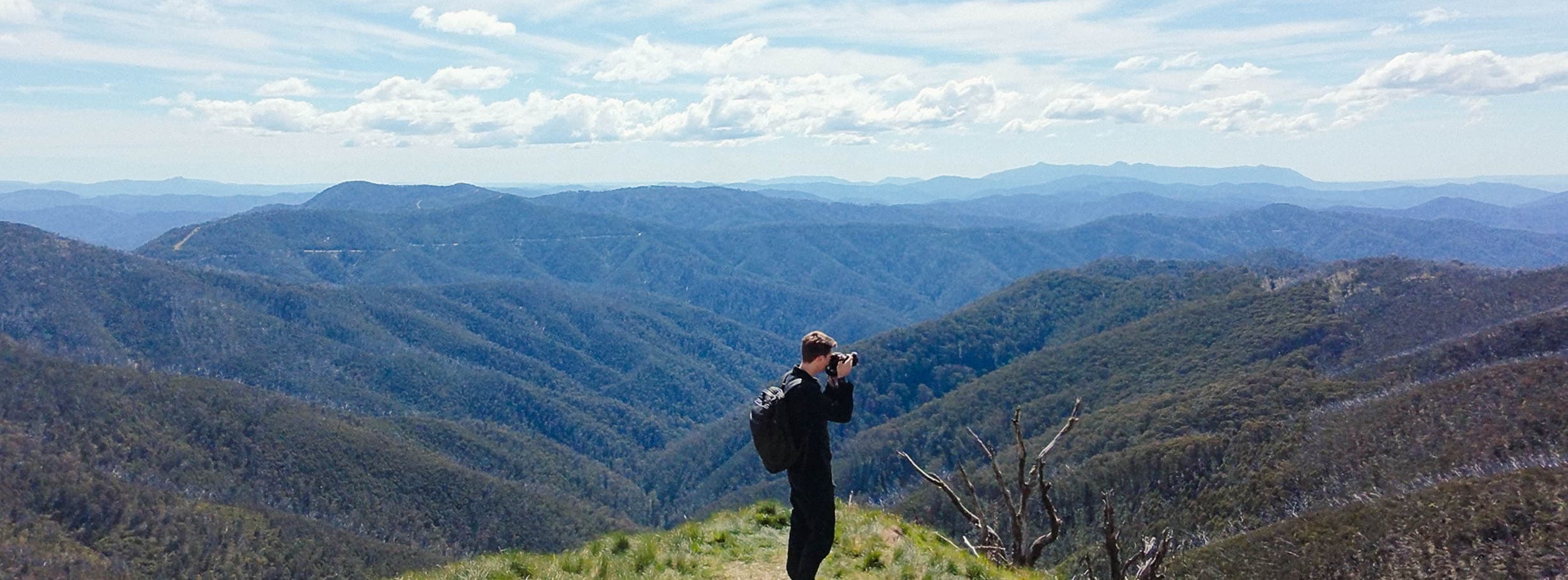 Beginner's Guide to Birding